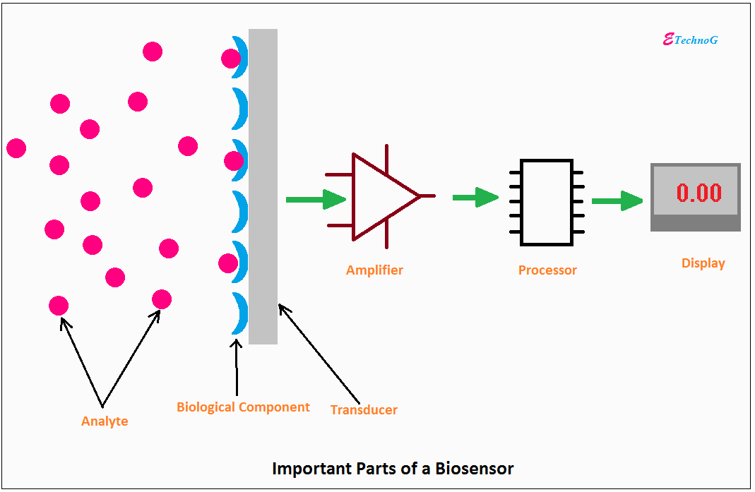 Biosensor applications 2